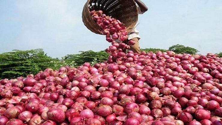 পেঁয়াজ রপ্তানিতে নিষেধাজ্ঞা তুলে নিলো ভারত